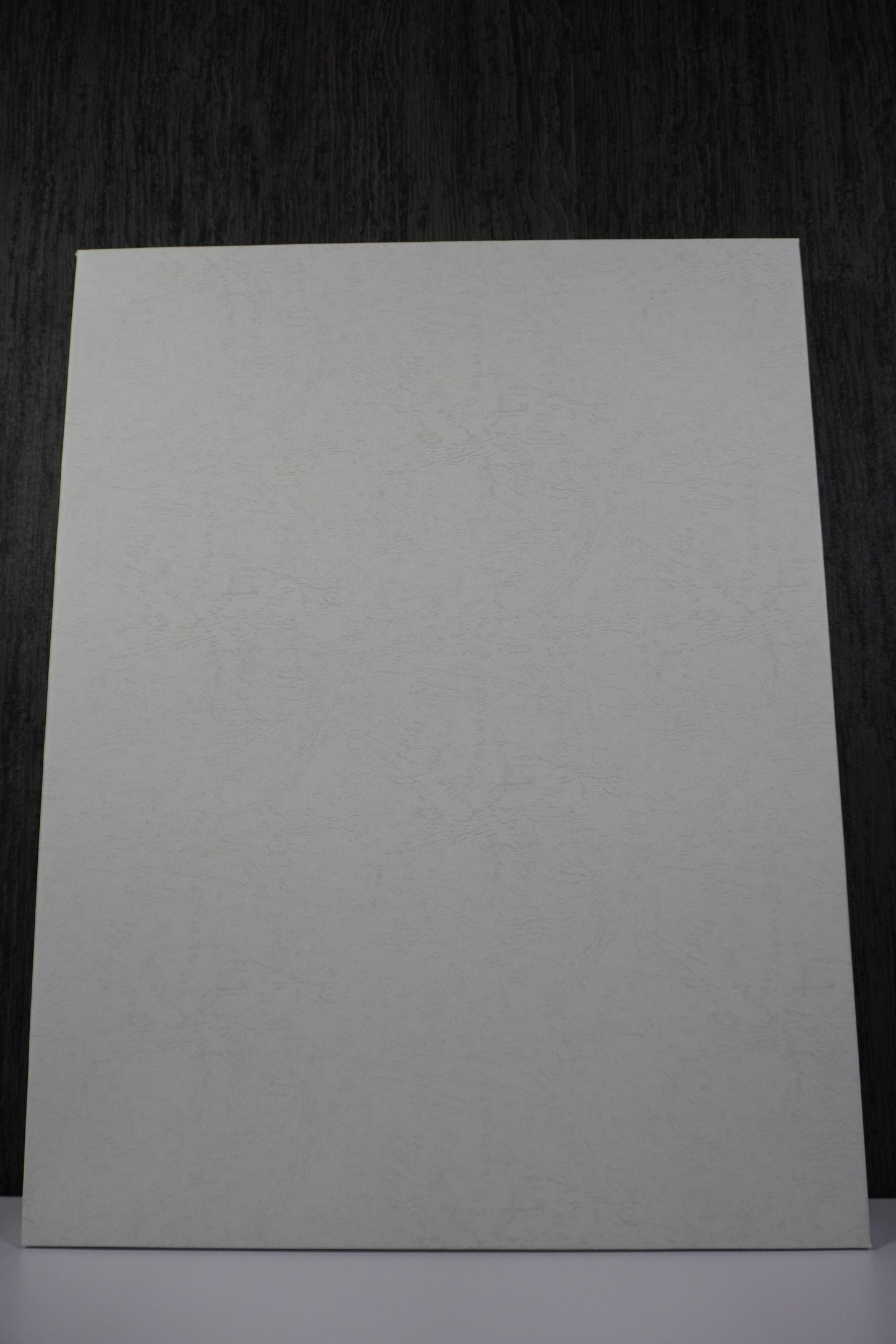 ボールルームへようこそ 複製原画 C