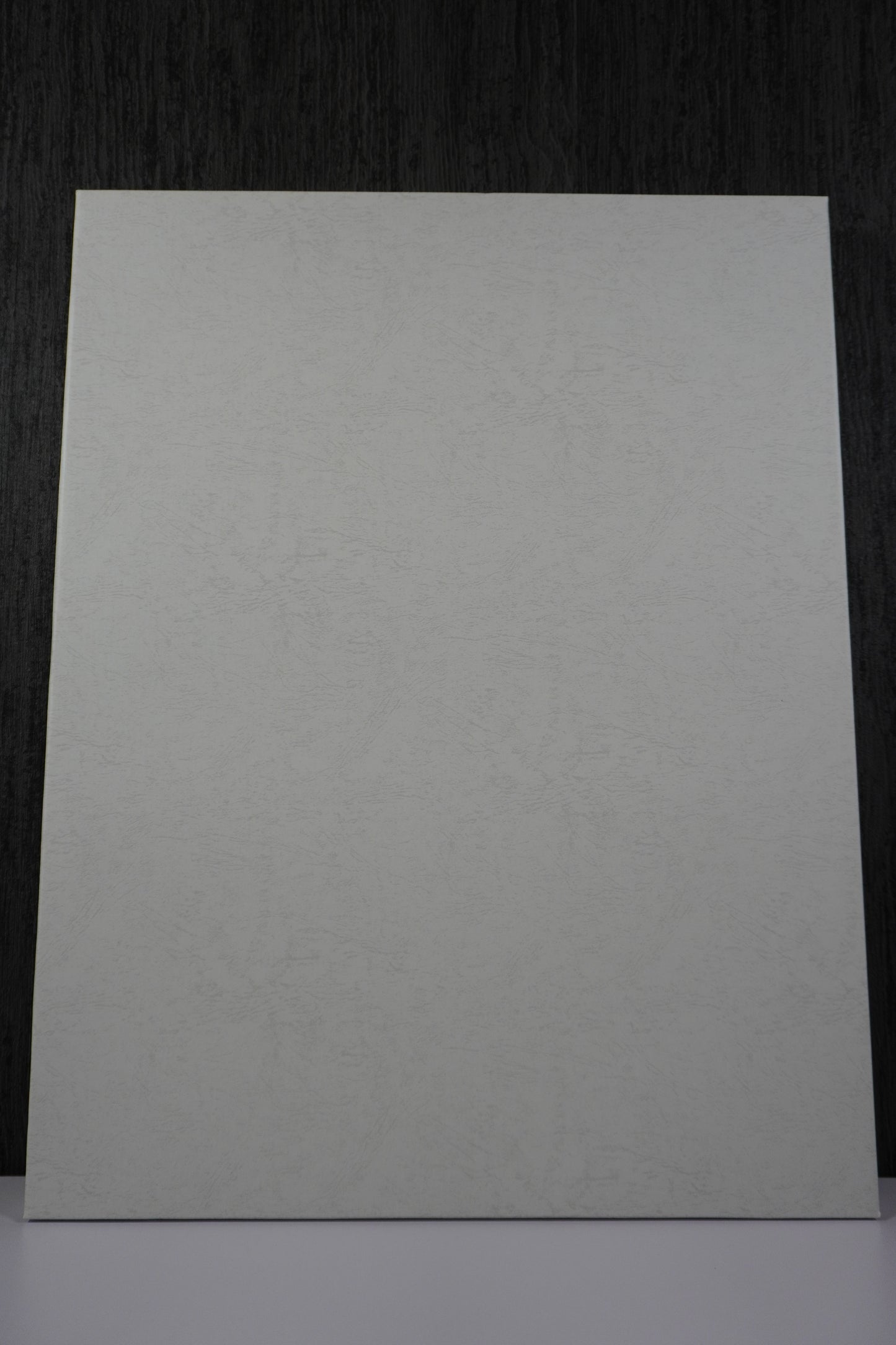 ボールルームへようこそ 複製原画 A