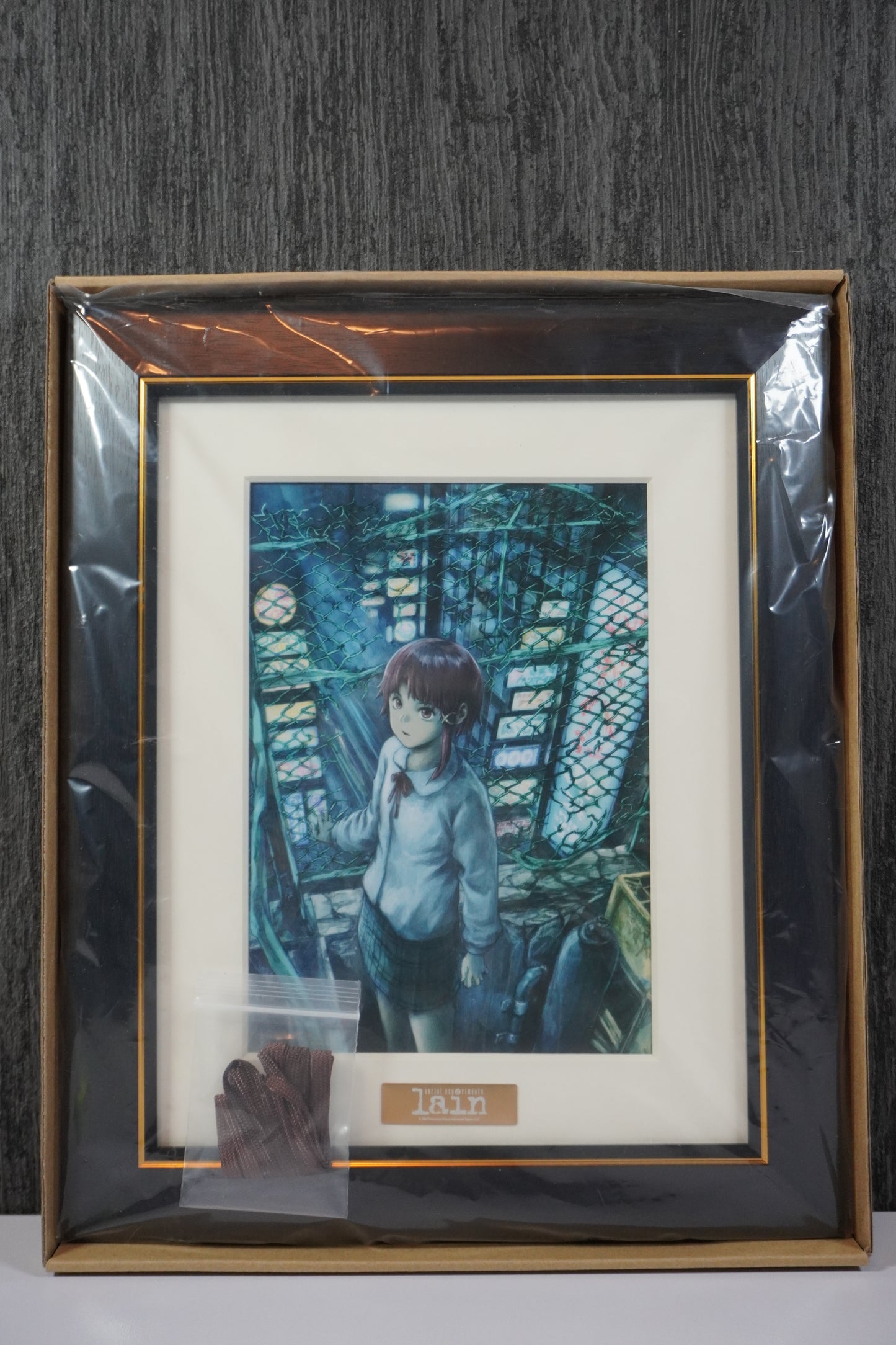 serial experiments lain キャラファイングラフ